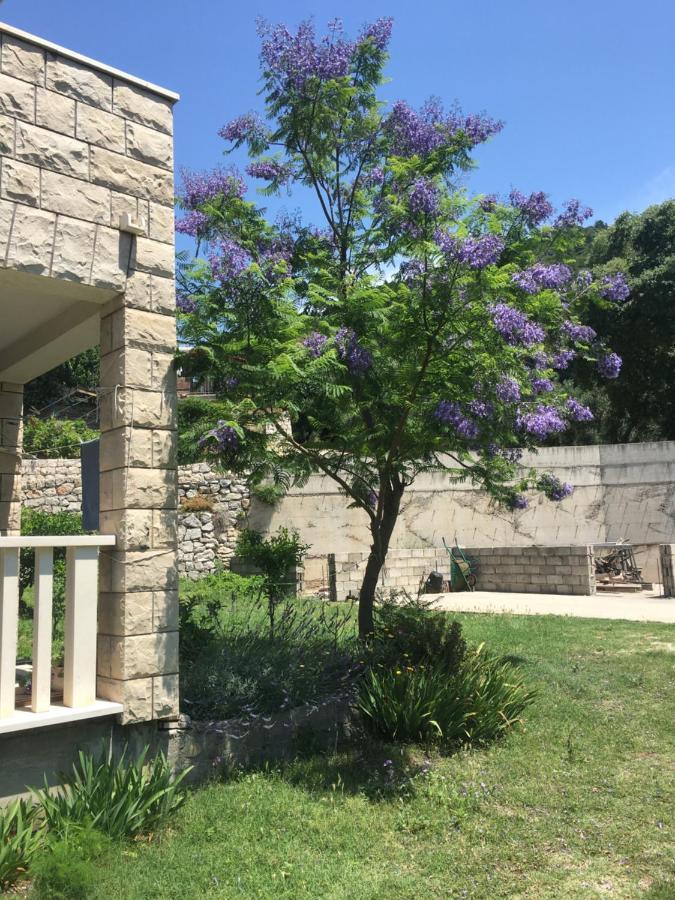 Apartmani Domenika Žuljana Extérieur photo